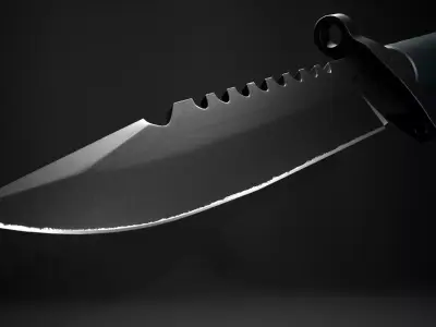 Wolf 1 Knife Low-poly 3D model