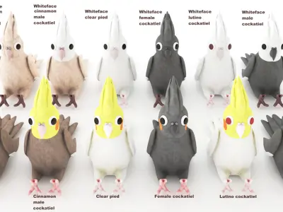 Toy cockatiel parrot Low-poly 3D model