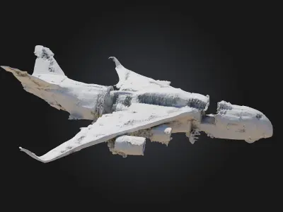 Crumpled Wings  Fragile Beauty in a World of Decay 3D model