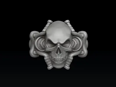 Skull biker pendant ring collection 3D print model