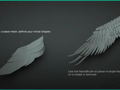 Stylized Feathers - 20 Insert mesh Zbrush 3D model