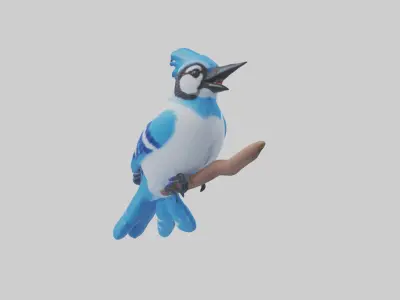 Blue Jay singing model Low-poly 3D model