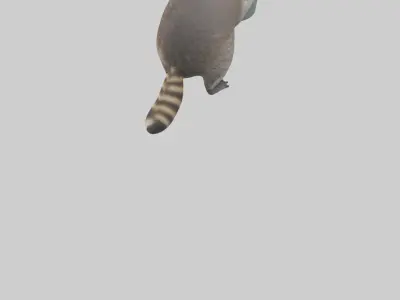 Raccoon scavenging model Low-poly 3D model