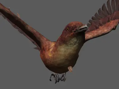 Detailed Bird Low-poly 3D model