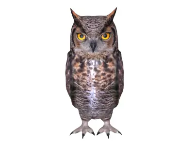 Horned owl Low-poly 3D model