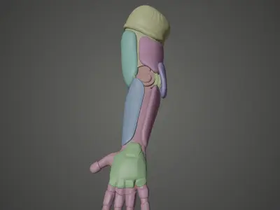 Cyborg Arm Left Hand Concept 3D model