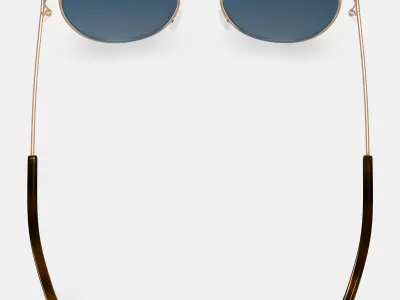 Fisher Sunglasses in Polished Gold 3D model purchase