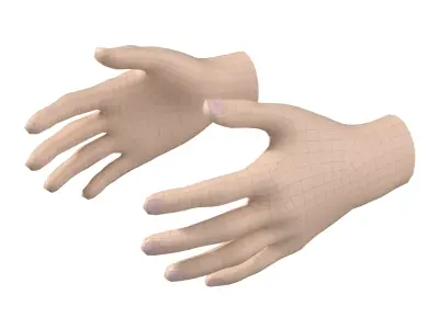 Female Hand Base Mesh 03 3D model