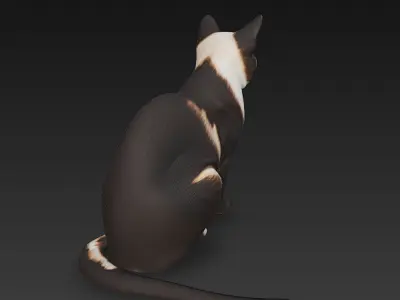 Cat Realistic 3D Model Basic - Low Poly Realistic Low-poly 3D model buy