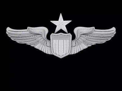 US Air Force Senior Pilot Wings Badge 3D print model