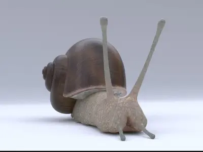Snail Low-poly 3D model shop