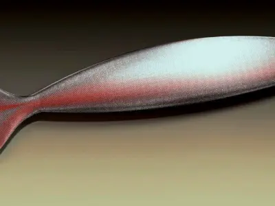 fish surface loft Free 3D model