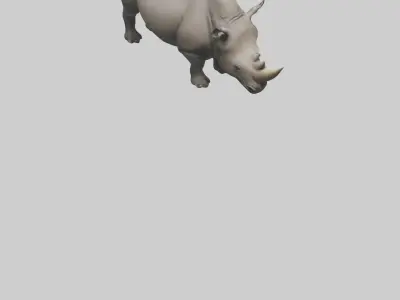 Black Rhinoceros grazing model 3D model