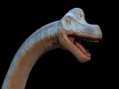 3D Brachio dinosaur Low-poly 3D model