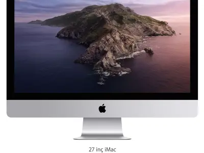 Apple Free 3D model