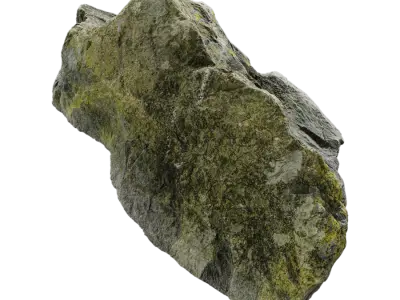  Medium Lichen Covered Beach Rock Model 