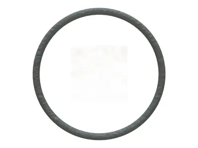 O Ring Vedabras 12862 3D model