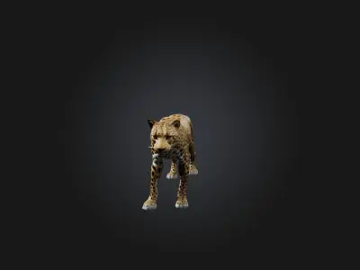 Realistic Leopard Model Low-poly 3D model