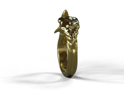 High-Quality 3D Ring Jet Model Low-poly 3D model get