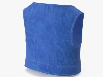 Cartoon Vest Blue 3D model