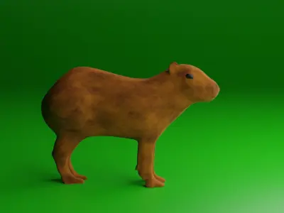 Capybara Low-poly 3D model