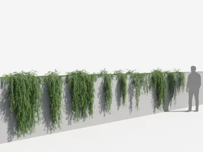 Rosemary Plants (+GrowFX) 3D model