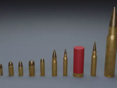 Common Bullet Types 3D model