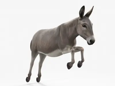  Mid-Jump Draft Donkey 