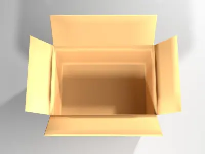 Cardboard Box - Rectangular Medium 3D model