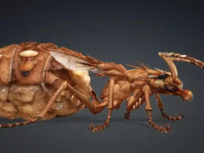 Ant Monster-V1e 3D model