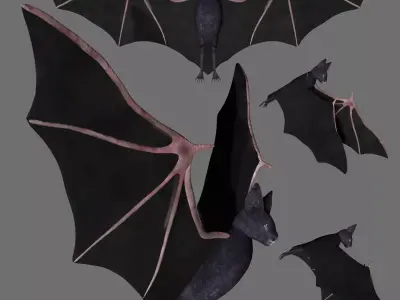 Bat with wings 2 Low-poly 3D model