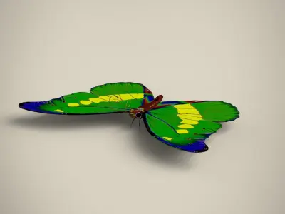 Butterfly Low-poly 3D model shop