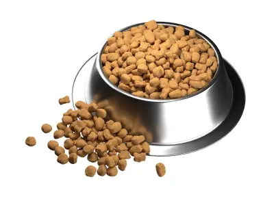 Dog food bowl 3  Low-poly 3D model
