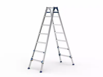 Folding Extension Ladder 3D model