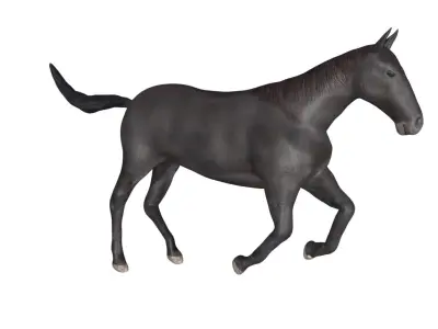 Black Horse Low-poly 3D model