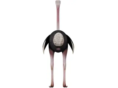 Ostrich 3D model purchase