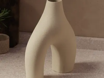  Abstract Organic Ceramic Vase Model 