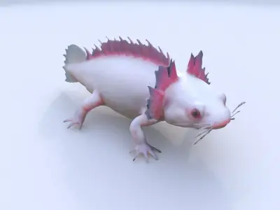 Axolotl 3D model purchase