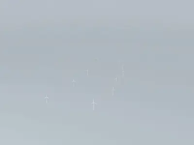 Woolnorth Wind Farm Free 3D model