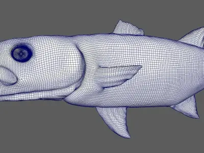 Barracuda fish Free low-poly 3D model