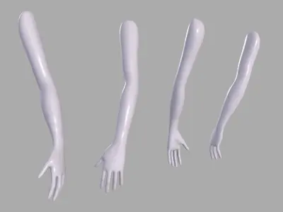Female Arm Base sculpt mesh 3D model
