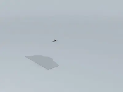 Trireme piece of paper Free 3D model