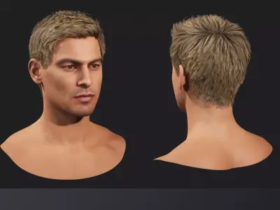 Realistic female hairstyles - pack 6 Low-poly 3D model