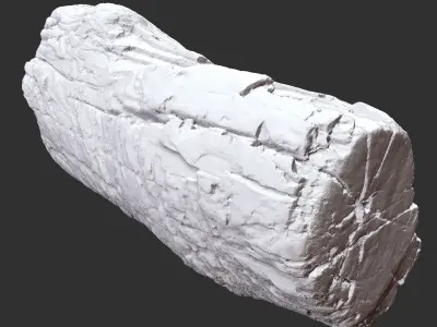 3d scan of tree trunk in highpoly 3D model