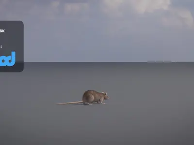 Rat 3D Model 3D model