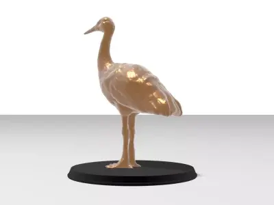 Crane Bird Realistic Free 3D model