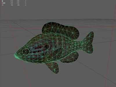 Centrarchidae Low-poly 3D model purchase