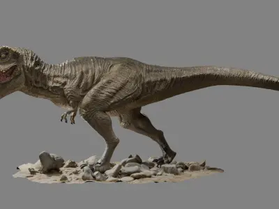 Tyrannosaurus rigged 