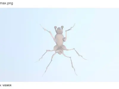 Ant Model insect Free 3D model
