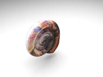 Snail 3D model order